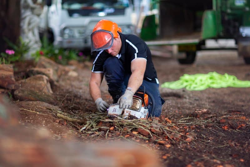 Stamper Tree Services tree services work in Leura