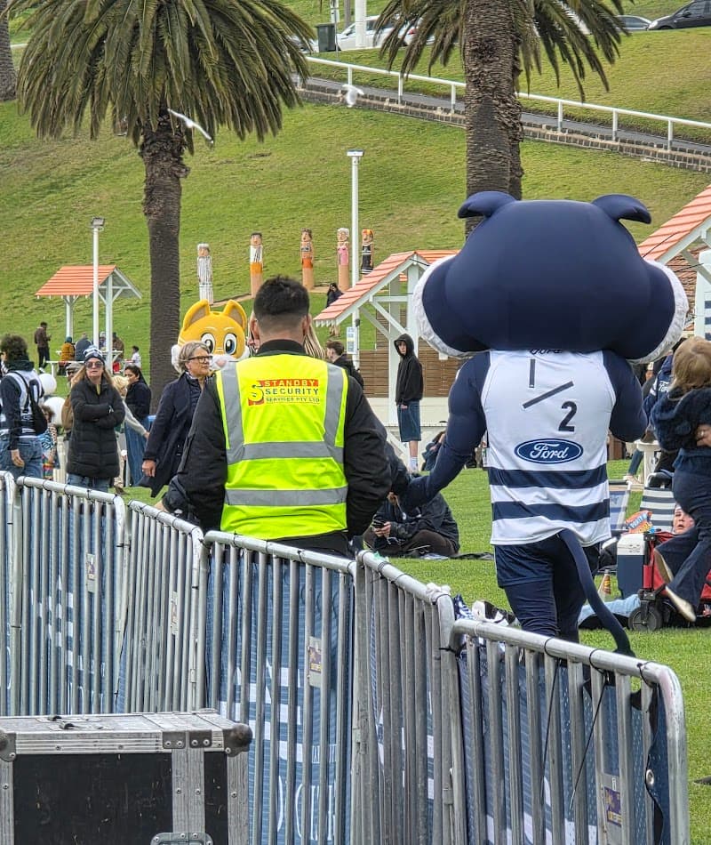 Standby Security Services Geelong security & cctv work in Newtown