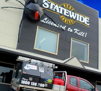 Statewide Pest Control - Shepparton pest control work in Shepparton