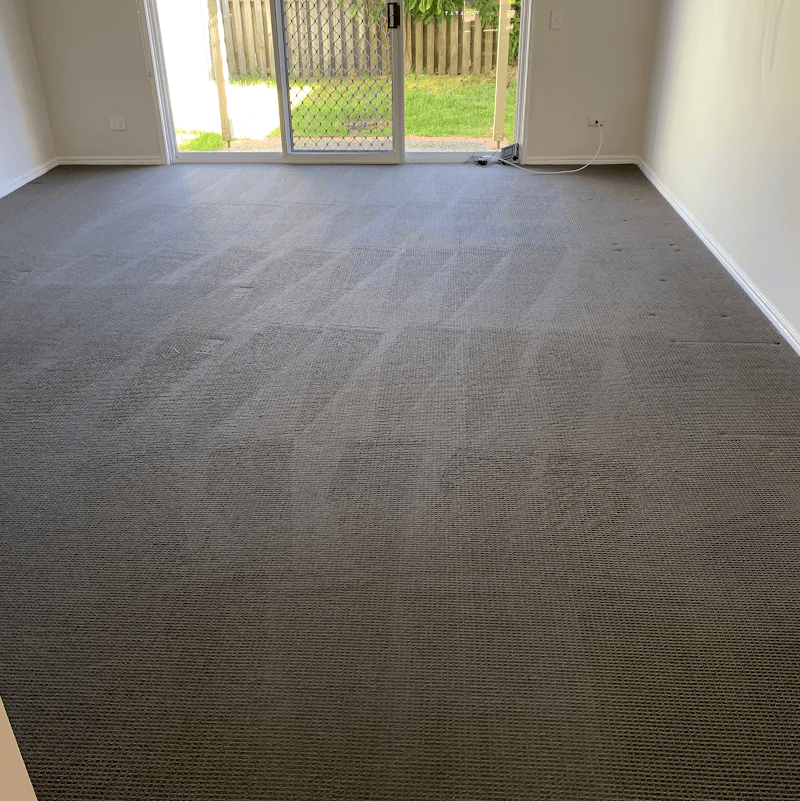 Steam and Dryclean | Carpet Cleaning Services carpet cleaning work in Broadbeach