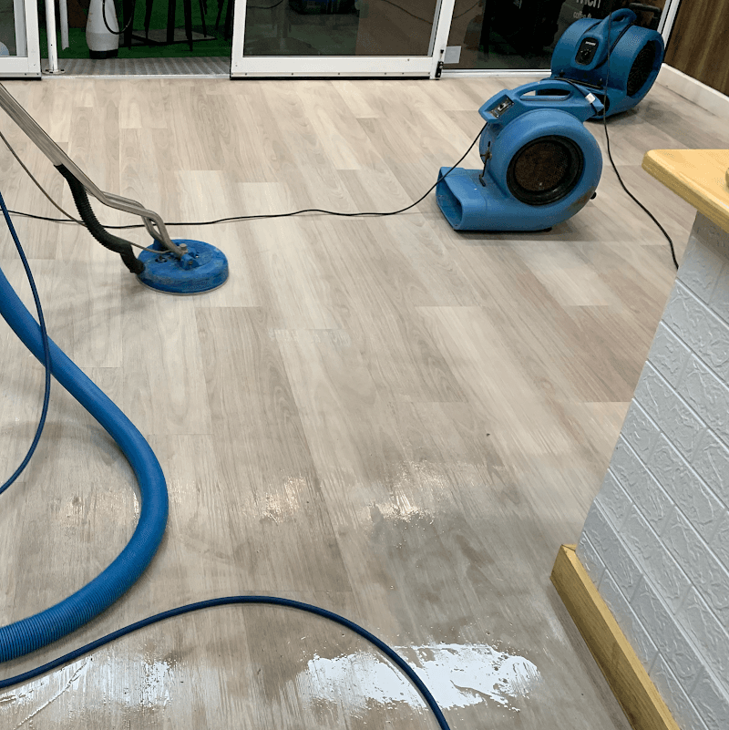 Steam and Dryclean | Carpet Cleaning Services carpet cleaning work in Broadbeach