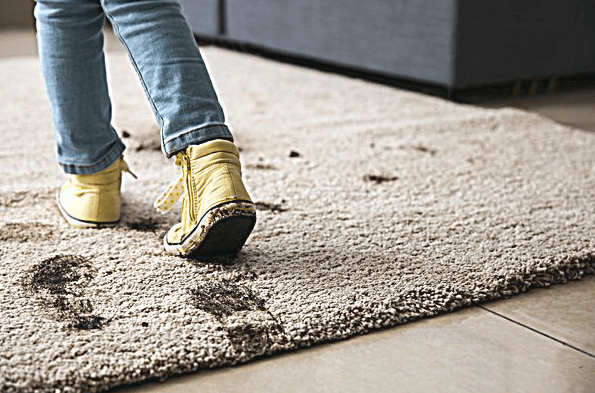 Steam and Dryclean | Carpet Cleaning Services carpet cleaning work in Broadbeach