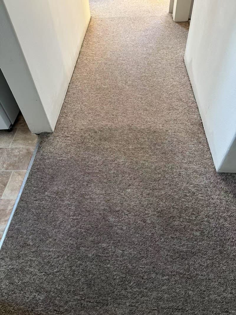 Steam Hero Carpet Cleaning carpet cleaning work in Caddens