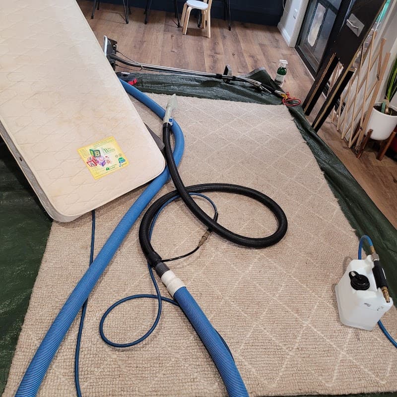 Steam Hero Carpet Cleaning carpet cleaning work in Caddens