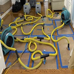 Steamatic Albury Wodonga carpet cleaning work in Wodonga
