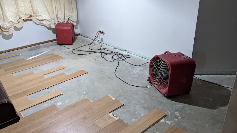 Steamatic Albury Wodonga carpet cleaning work in Wodonga