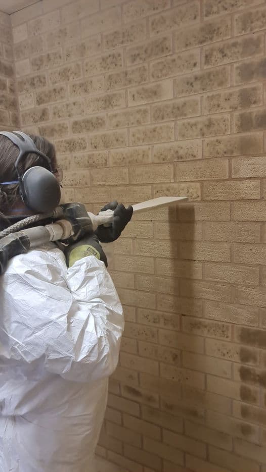 Steamatic Bendigo - Fire, Flood, Water Damage Restoration asbestos removal work in Epsom