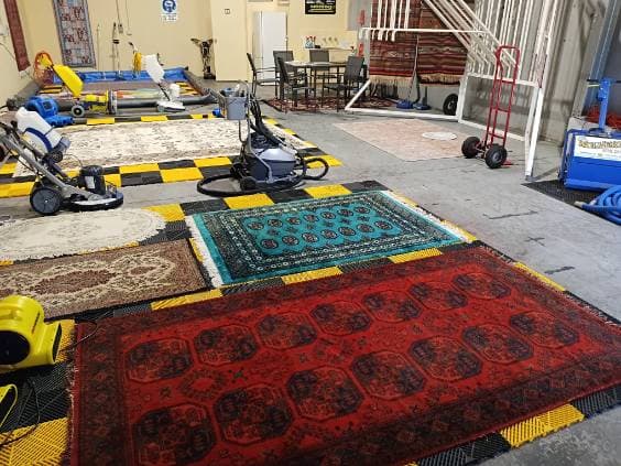 Steamy Wonder Cleaning Services carpet cleaning work in Bateau Bay