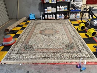 Steamy Wonder Cleaning Services carpet cleaning work in Bateau Bay
