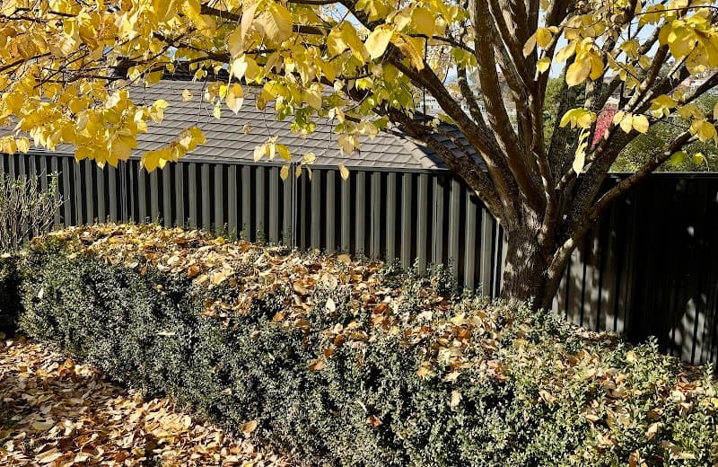 Steel Guard Fences fencing work in Riverside