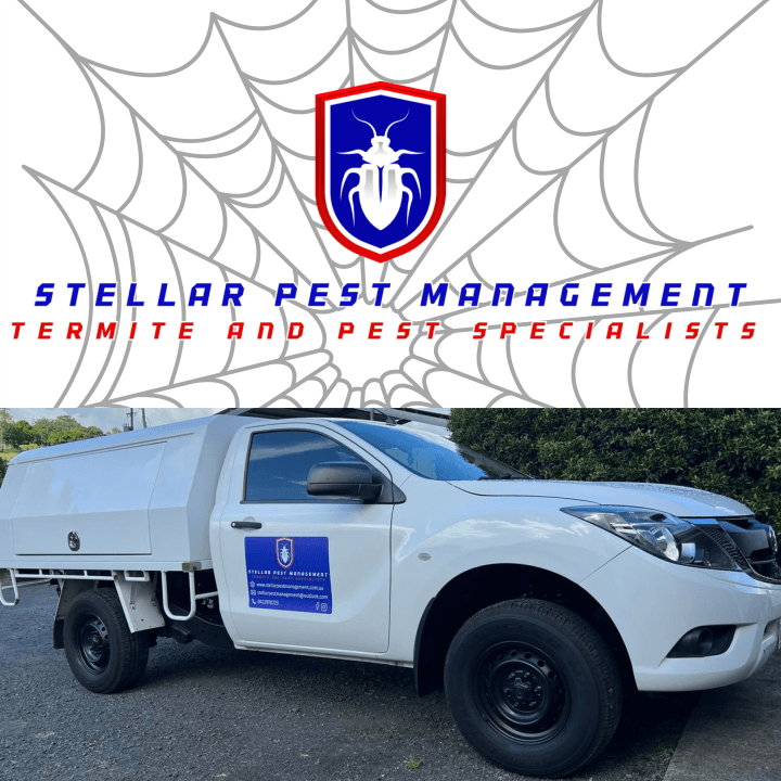 Stellar Pest Management pest control work in Ripley