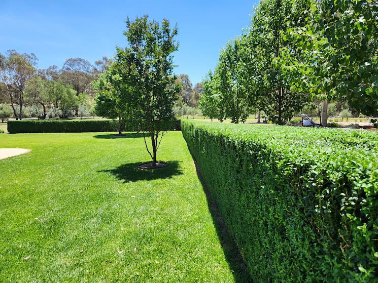Stevens Corporate Gardening landscaping work in Albury