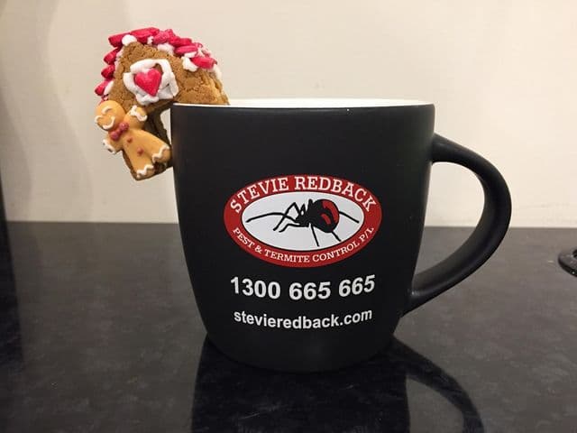 Stevie Redback Pest & Termite Control A Rentokil Company pest control work in Clontarf