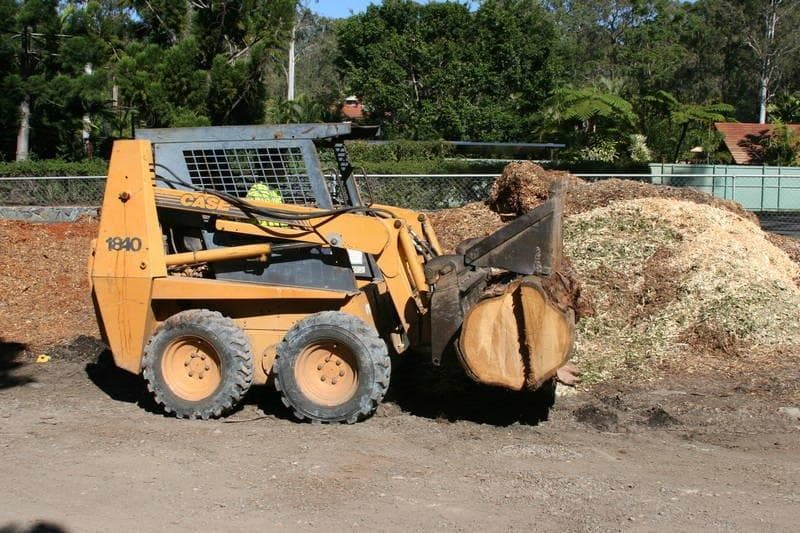 Strudwick's Tree Lopping tree services work in Tanah Merah