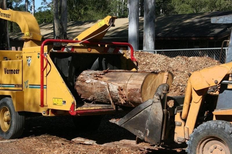 Strudwick's Tree Lopping tree services work in Tanah Merah