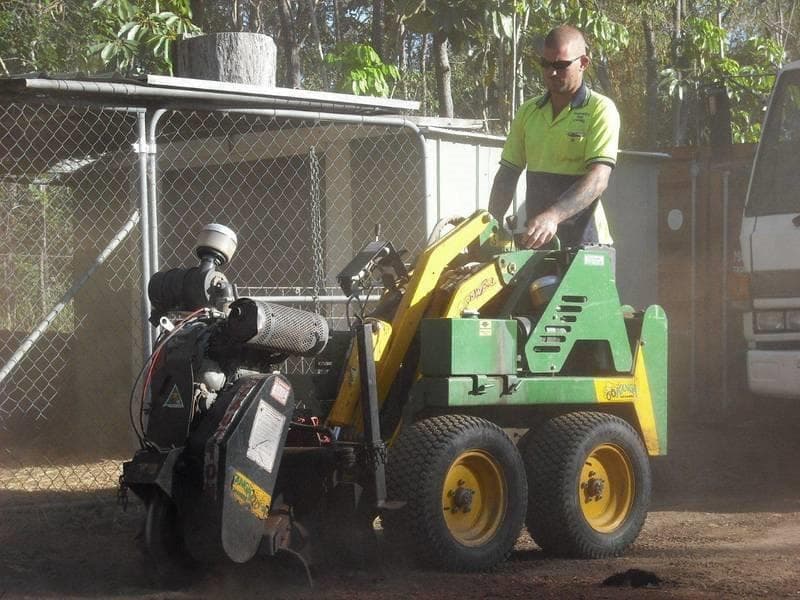 Strudwick's Tree Lopping tree services work in Tanah Merah