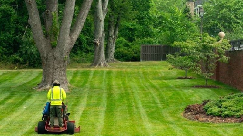 STSB lawn mower landscaping work in East Albury