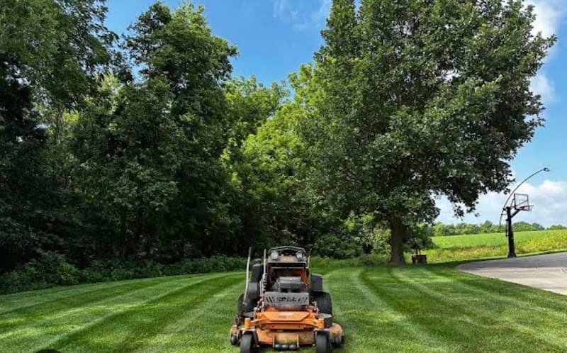 STSB lawn mower landscaping work in East Albury