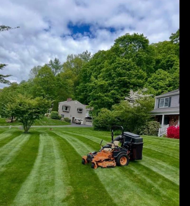 STSB lawn mower landscaping work in East Albury
