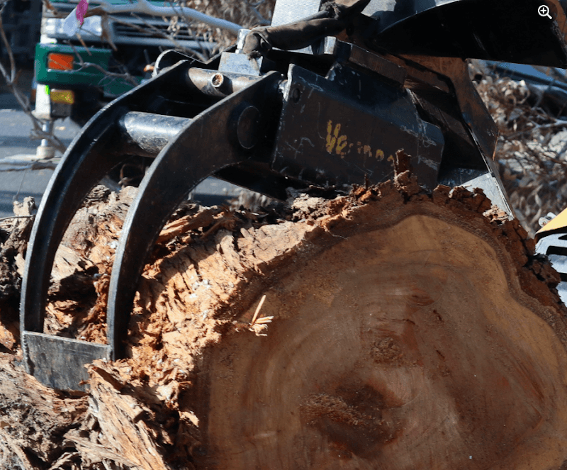 Stump Boy Pty Ltd tree services work in Somerville