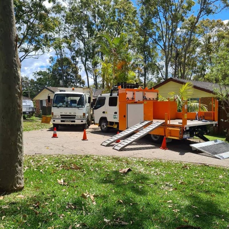 stump Grinding Central Coast and Tree Services Pty Ltd tree services work in Umina Beach