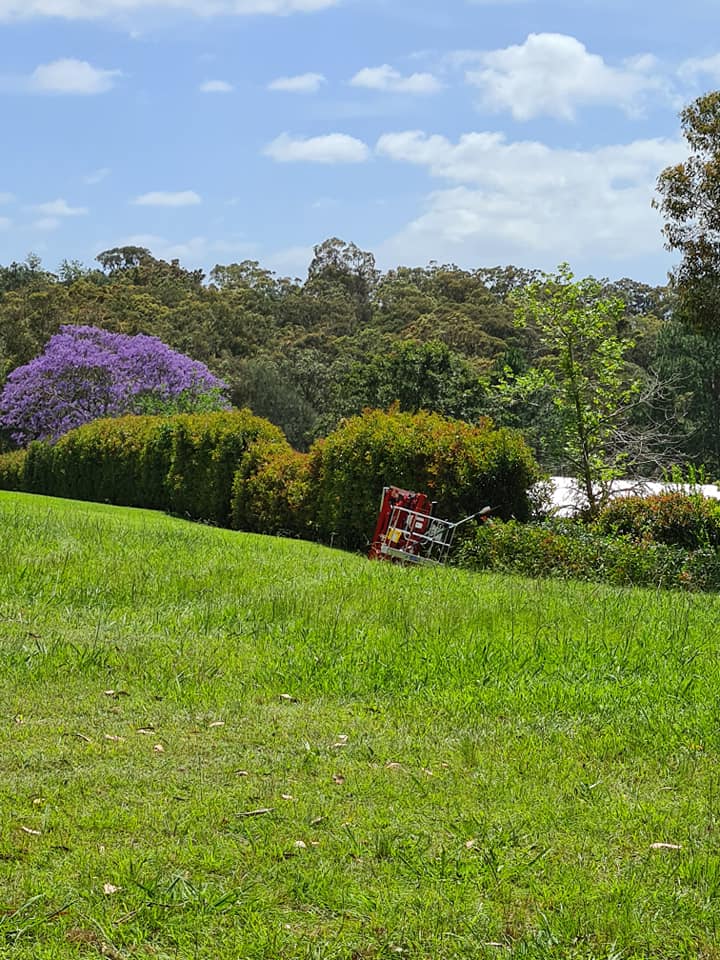 stump Grinding Central Coast and Tree Services Pty Ltd tree services work in Umina Beach