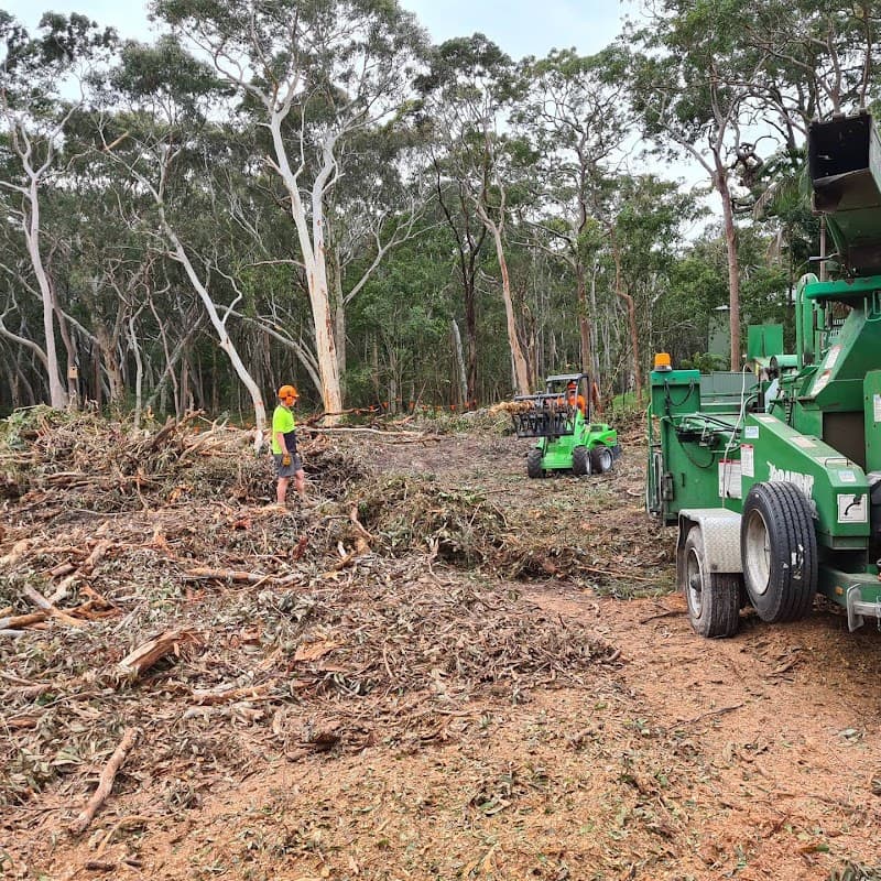stump Grinding Central Coast and Tree Services Pty Ltd tree services work in Umina Beach