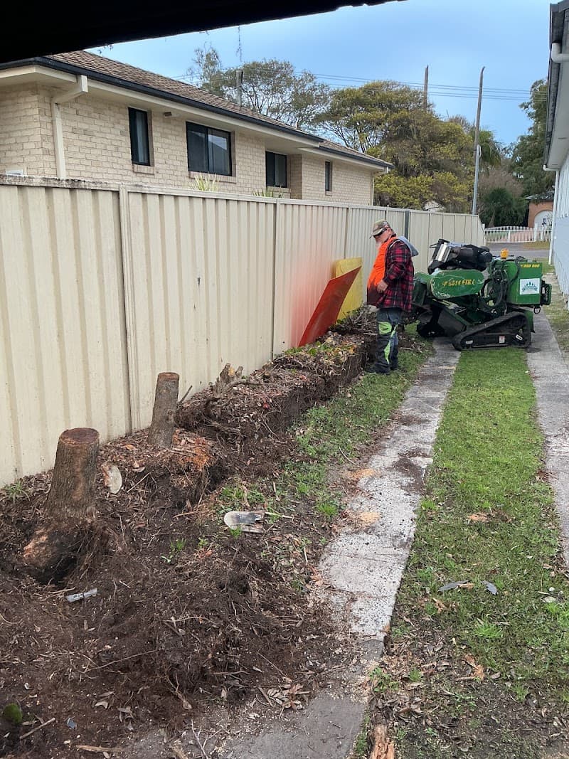 stump Grinding Central Coast and Tree Services Pty Ltd tree services work in Umina Beach
