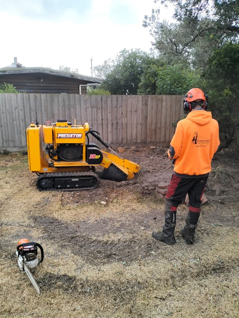Stump Grinding Geelong tree services work in Grovedale