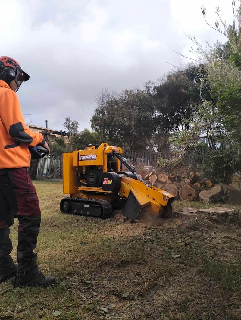 Stump Grinding Geelong tree services work in Grovedale