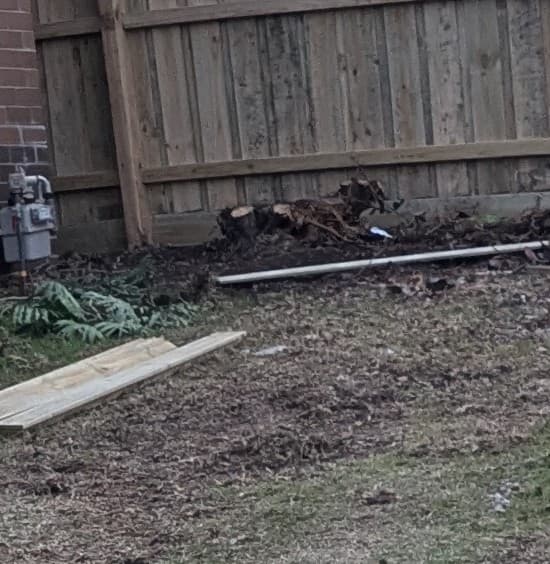 Stump Grinding Geelong tree services work in Grovedale