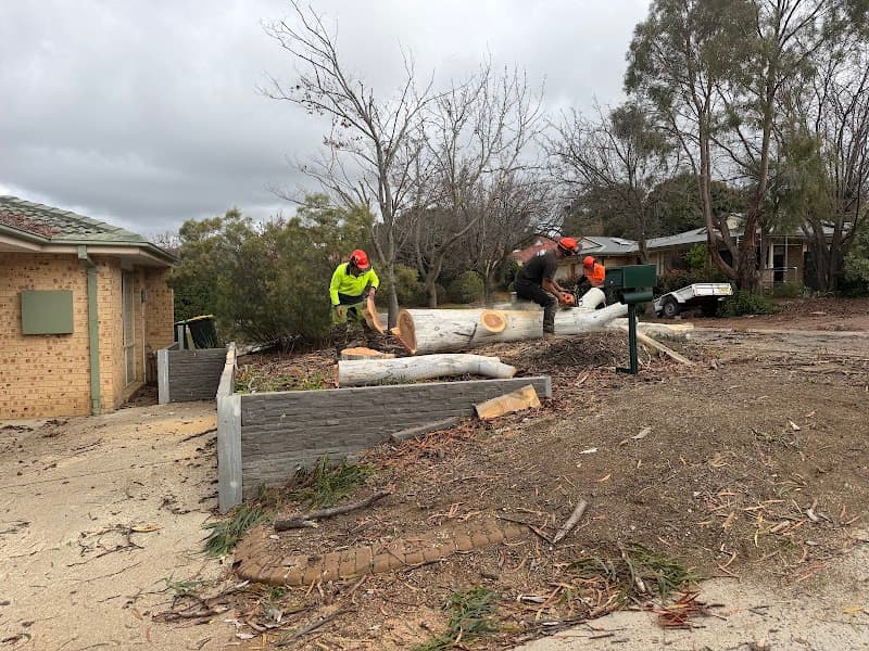 Stump’d Tree Removal Canberra tree services work in Ngunnawal