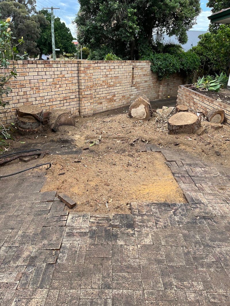 Stumped WA tree services work in East Victoria Park