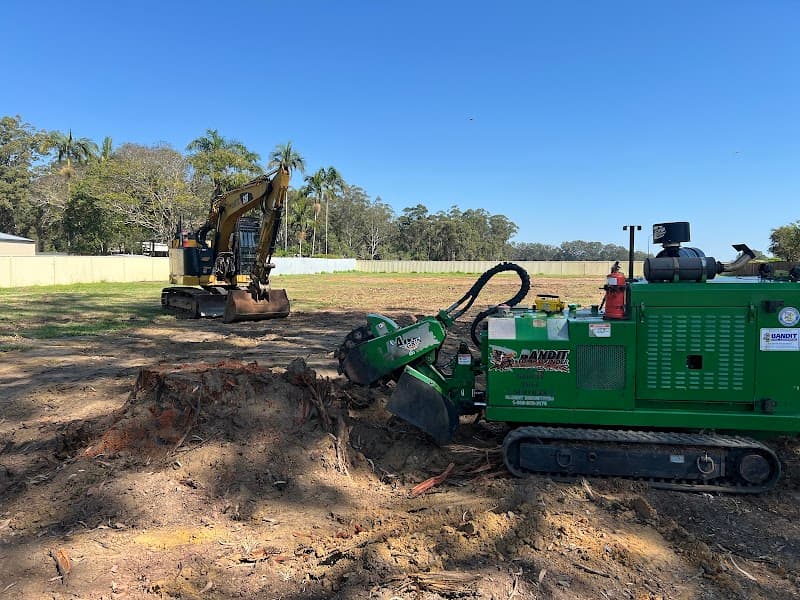 Stumpworks Qld tree services work in Sippy Downs