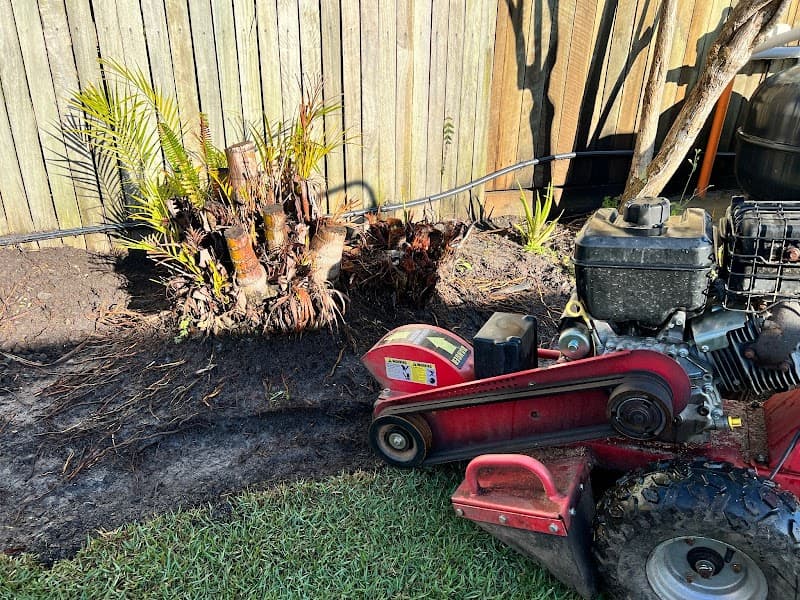Stumpworks Qld tree services work in Sippy Downs