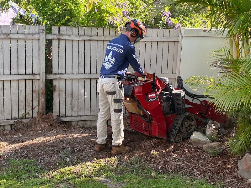 Stumpworks Qld tree services work in Sippy Downs