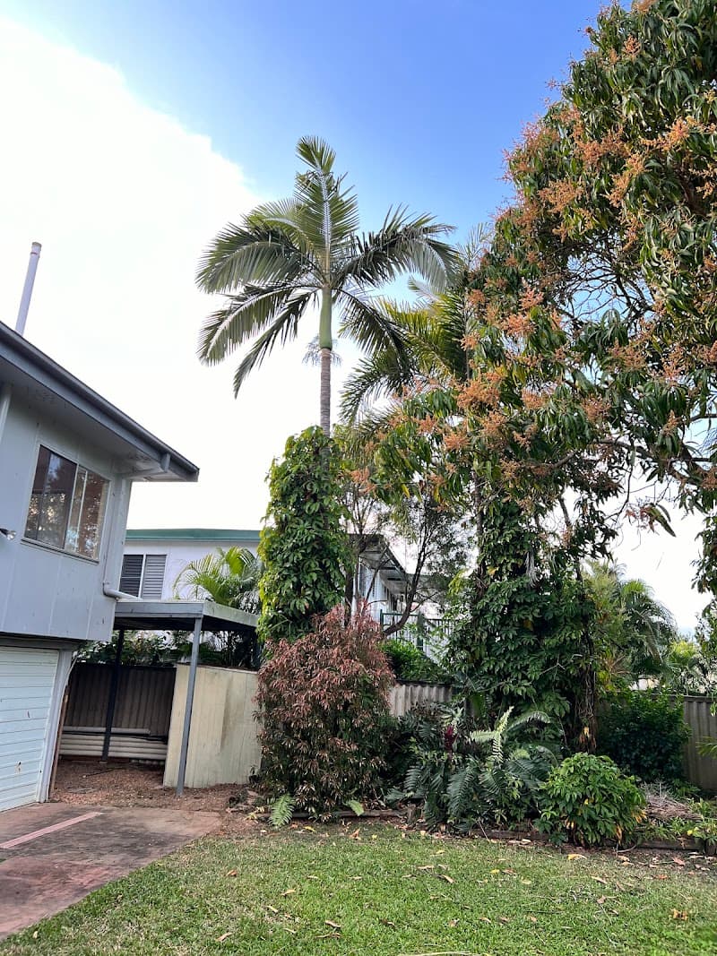 Sun City Trees & Mulch tree services work in Stuart