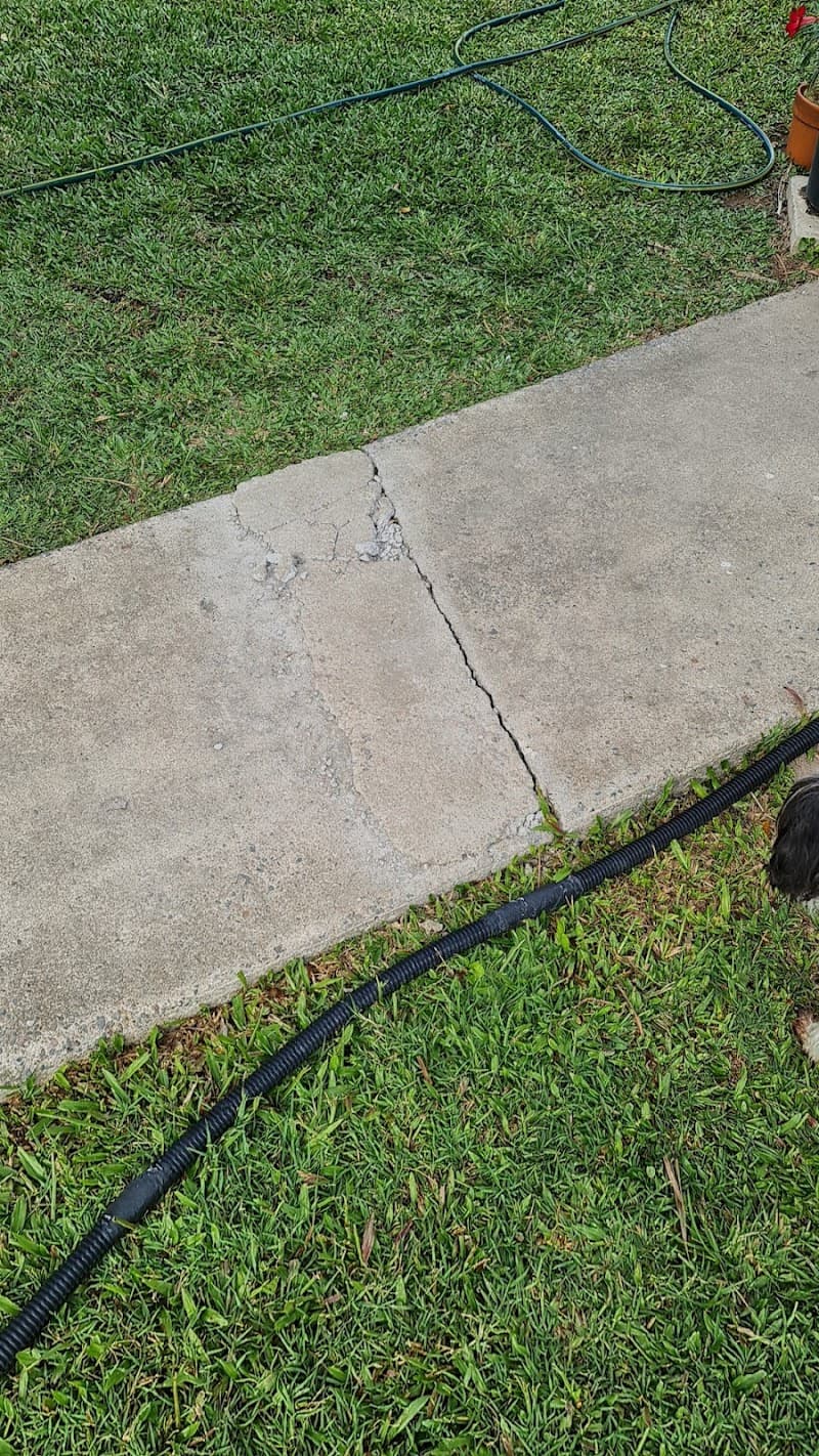 Sun City Trees & Mulch tree services work in Stuart