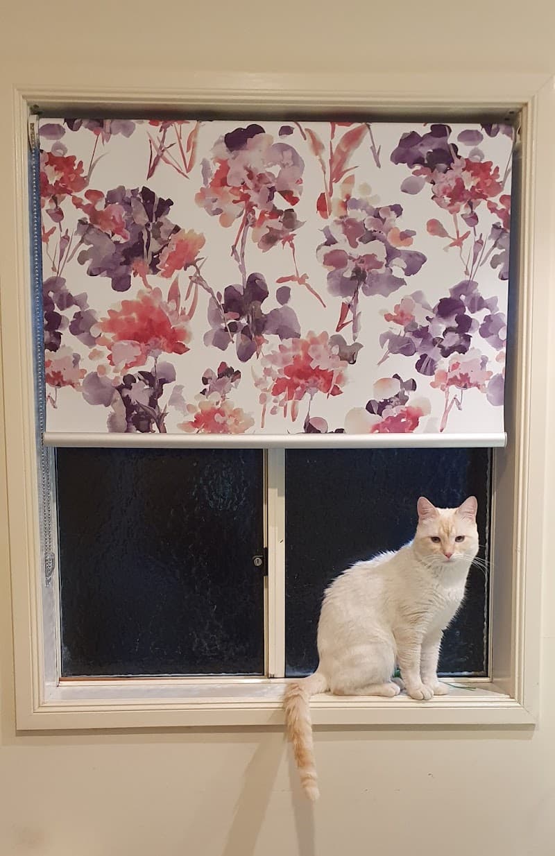 Sun Stop Blinds curtains & blinds work in Woodridge