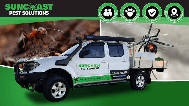Suncoast Pest Solutions pest control work in Little Mountain