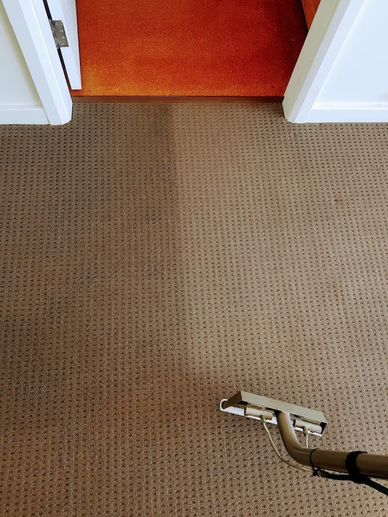 Sunny Coast Carpet Cleaning carpet cleaning work in Noosaville