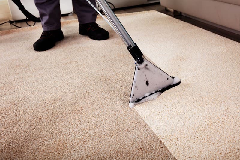 Sunny Coast Carpet Cleaning carpet cleaning work in Noosaville