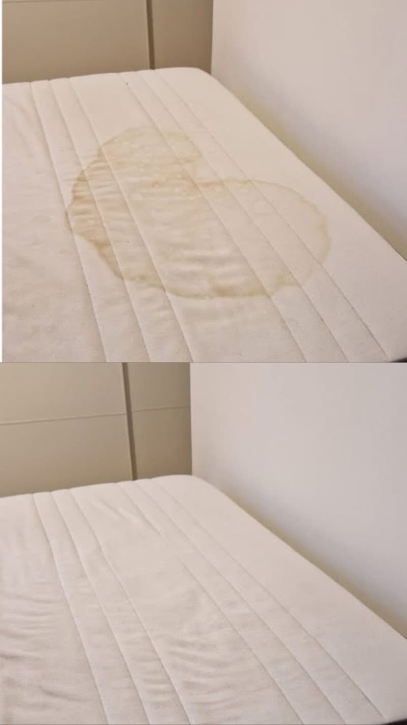 Sunny Coast Carpet Cleaning carpet cleaning work in Noosaville