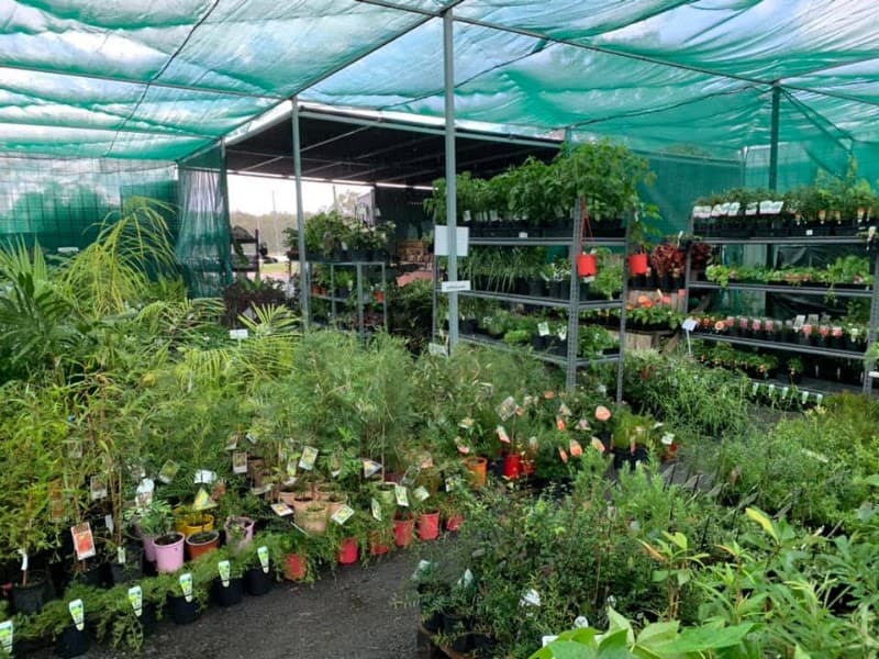 Sunny Ridge Nursery landscaping work in Gracemere