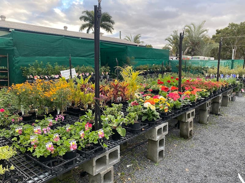 Sunny Ridge Nursery landscaping work in Gracemere
