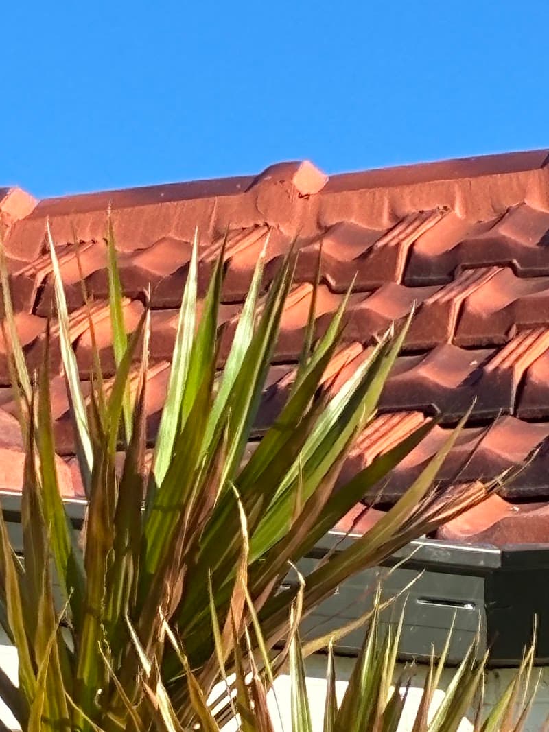SunRay Roofing roofing work in Ocean Reef