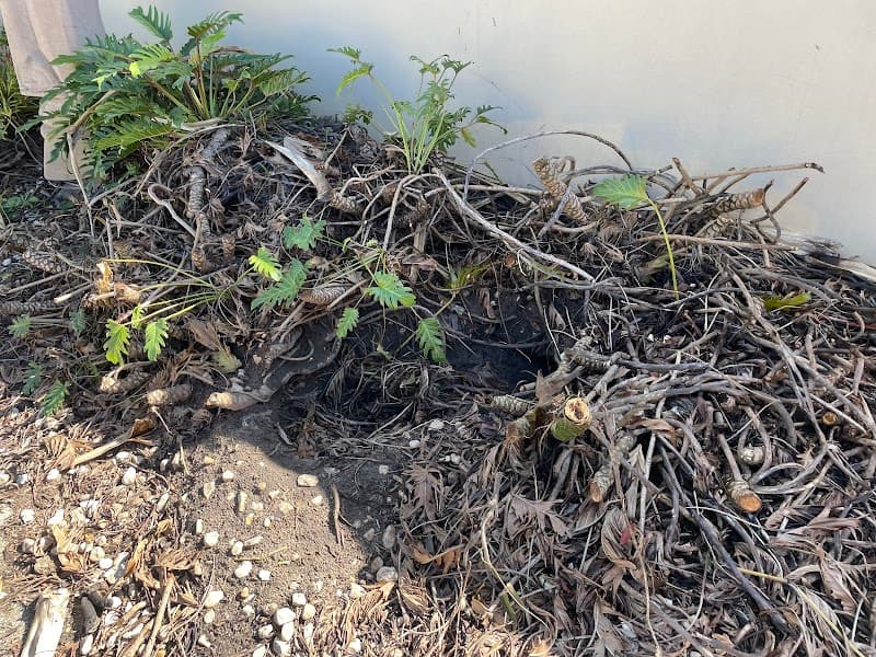 Sunshine Coast Garden and Pool Maintenance landscaping work in Buderim