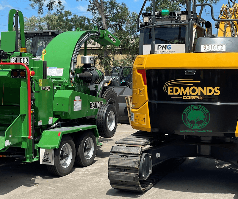 Sunshine Coast Tree Services tree services work in Maroochydore