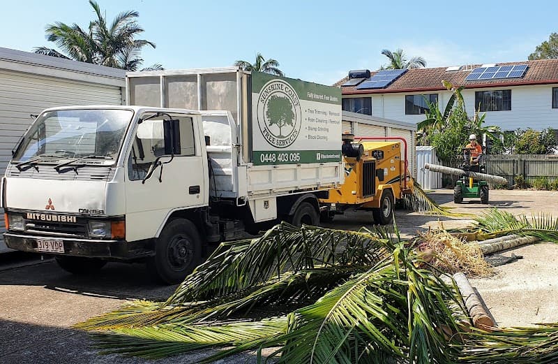 Sunshine Coast Tree Services tree services work in Maroochydore