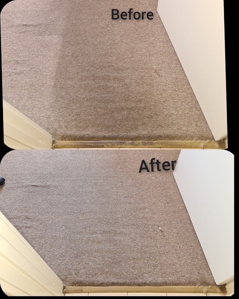 Superfast Carpet Cleaning Services carpet cleaning work in Yokine